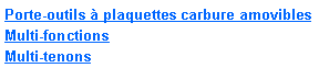 Zone de Texte: Porte-outils � plaquettes carbure amoviblesMulti-fonctionsMulti-tenons