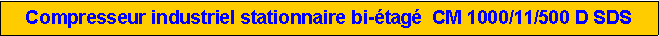 Zone de Texte: Compresseur industriel stationnaire bi-�tag�  CM 1000/11/500 D SDS