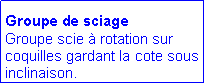 Zone de Texte: Groupe de sciage
Groupe scie � rotation sur coquilles gardant la cote sous inclinaison. 